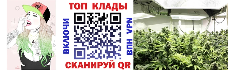 Как найти закладки Княгинино ГАШ  Марихуана  A-PVP  Меф  Кокаин 