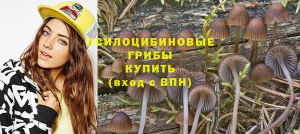 спайс Абаза