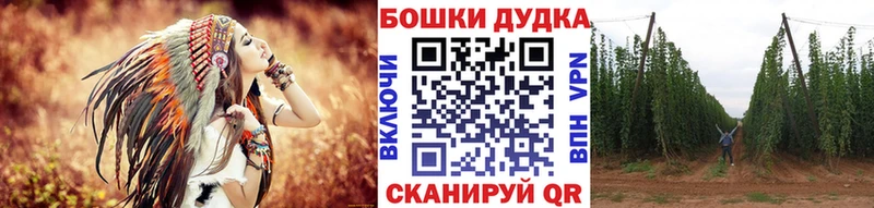 Шишки марихуана план  наркотики  Княгинино 